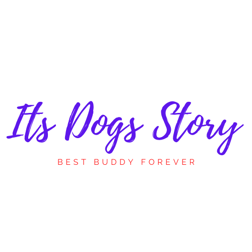 logo its dogs story